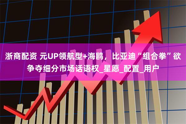 浙商配资 元UP领航型+海鸥，比亚迪“组合拳”欲争夺细分市场话语权_星愿_配置_用户